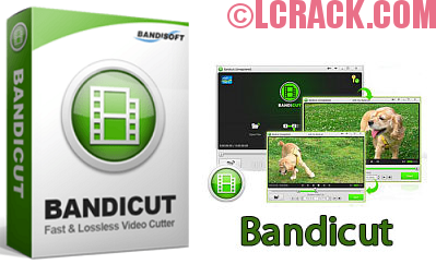 Bandicoot 2.7 working serial key generator